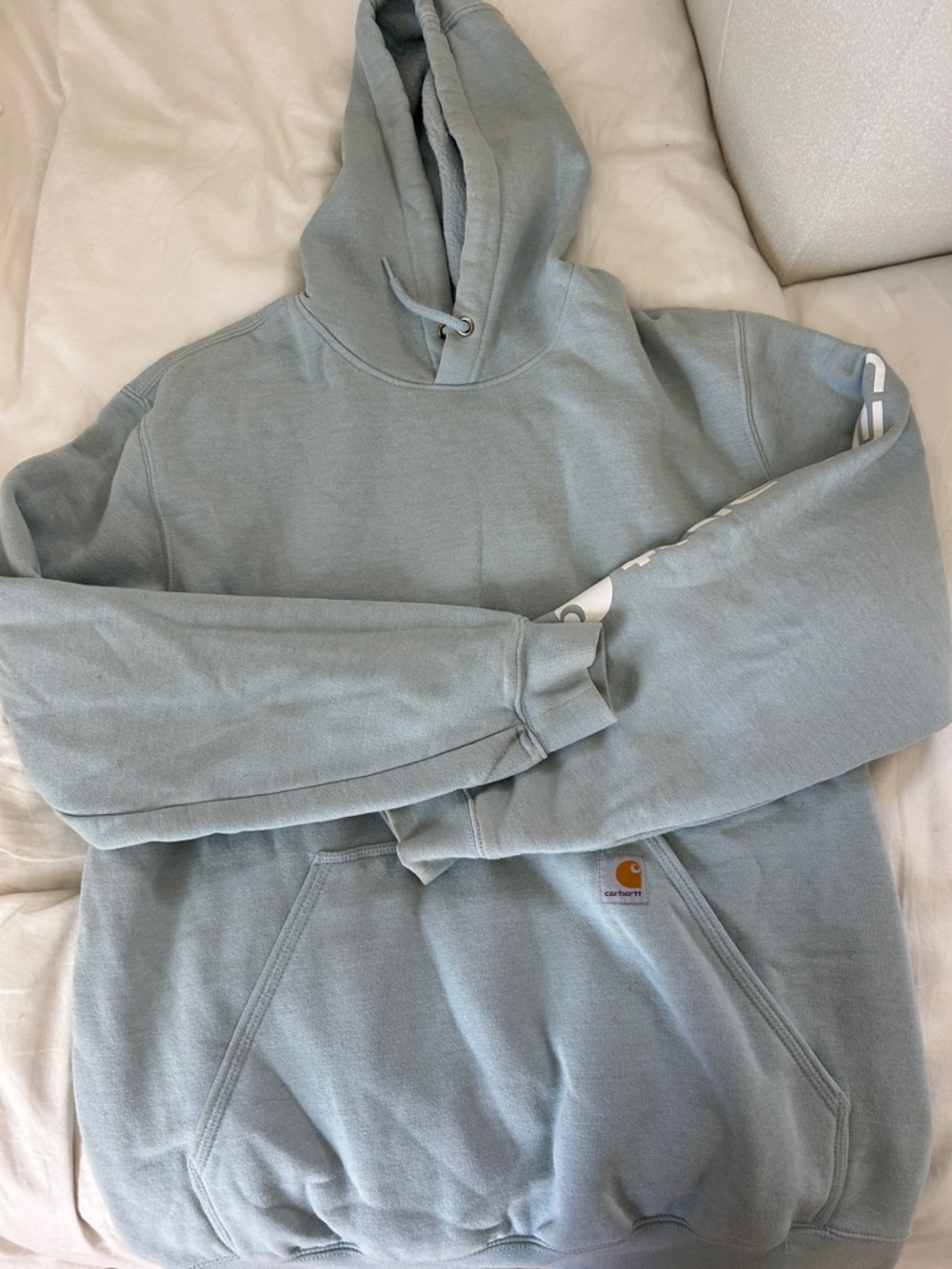 Carhartt Men's Hoodie in Soft Seafoam Blue